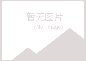 立山区埋没房地产有限公司